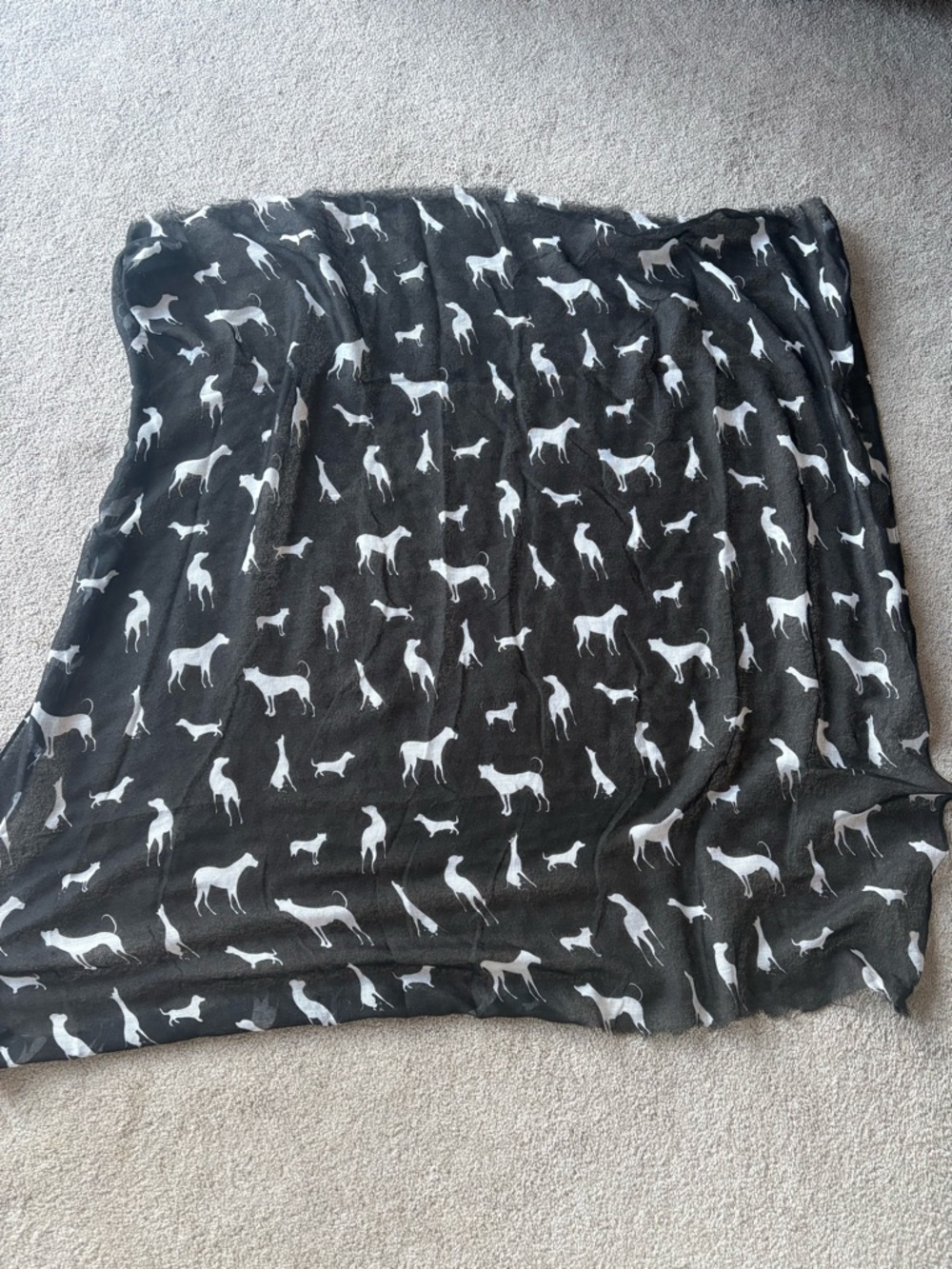Black Dog Print Lightweight Scarf - Women's Wrap